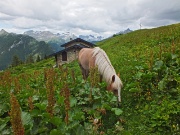 79 Baita Croce Monte Colle...